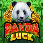 Panda Luck